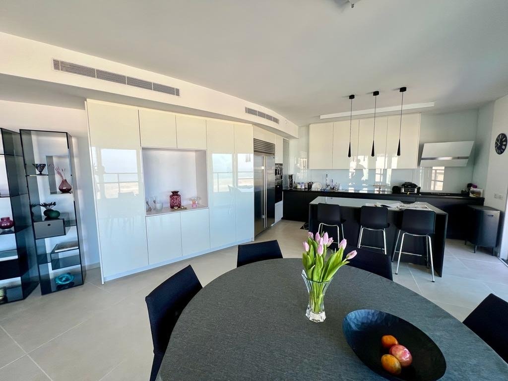 Penthouse View 1